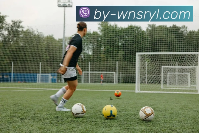 App Interface Preview