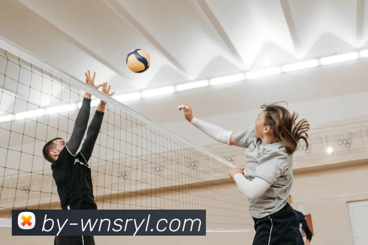 威尼斯人娱乐官网APP 封面图